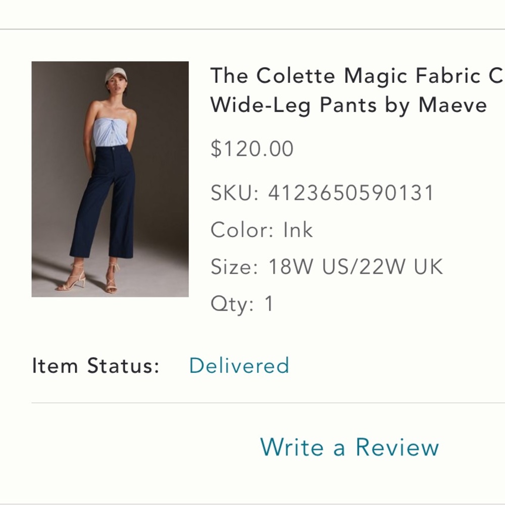 Anthropologie Bronze Wide-Leg Pants